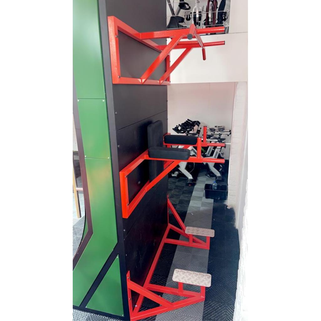 XClimb Pro Rotating Ladder Station Flair Fitness