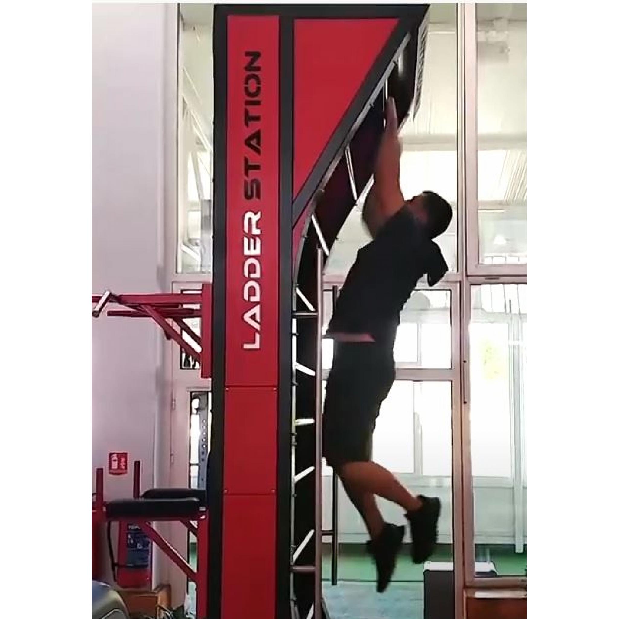 XClimb Pro Rotating Ladder Station Flair Fitness