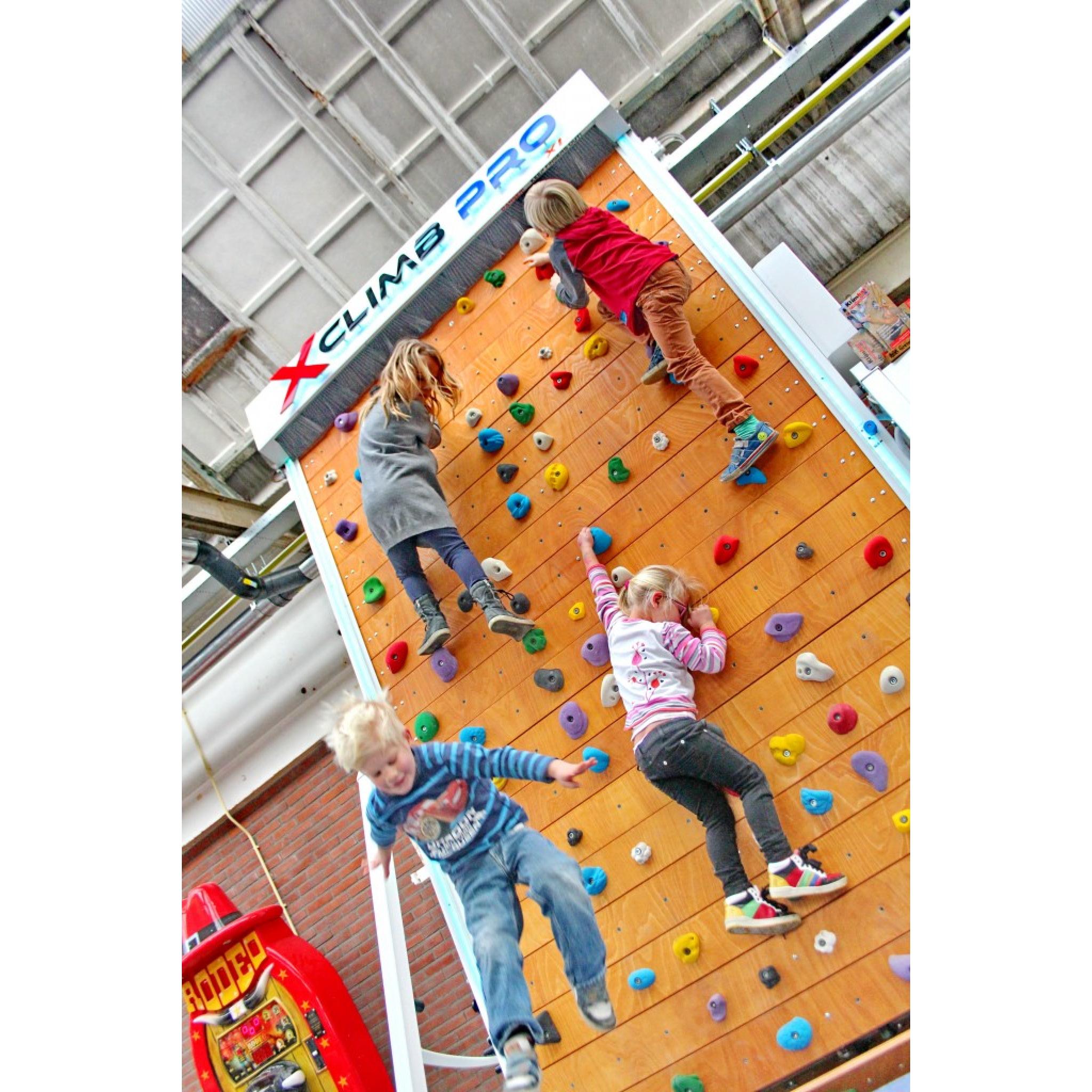 XClimb Pro Rotating Climbing Wall Flair Fitness