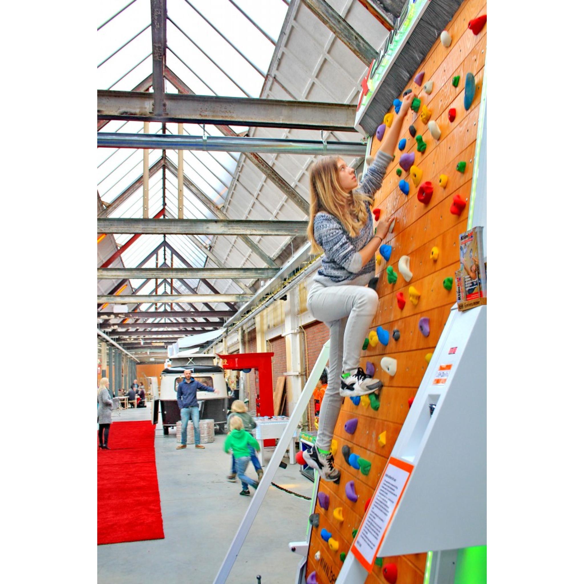 XClimb Pro Rotating Climbing Wall Flair Fitness